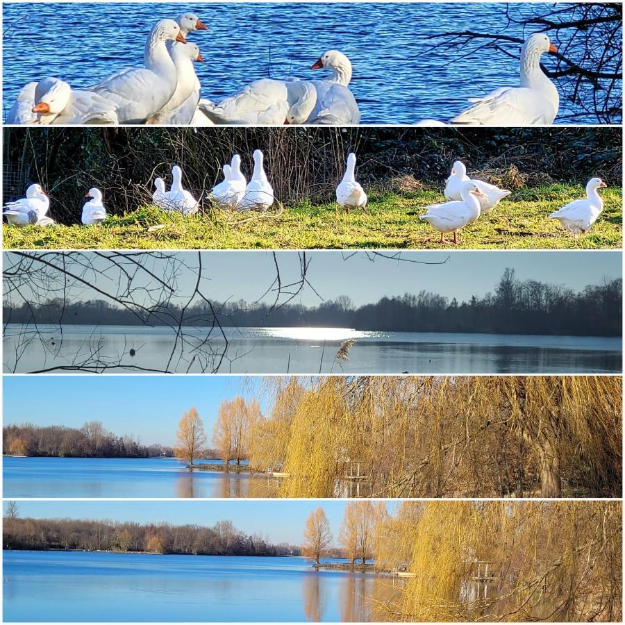 Ferienwohnung Casa Di Lago Heinsberg  Zewnętrze zdjęcie